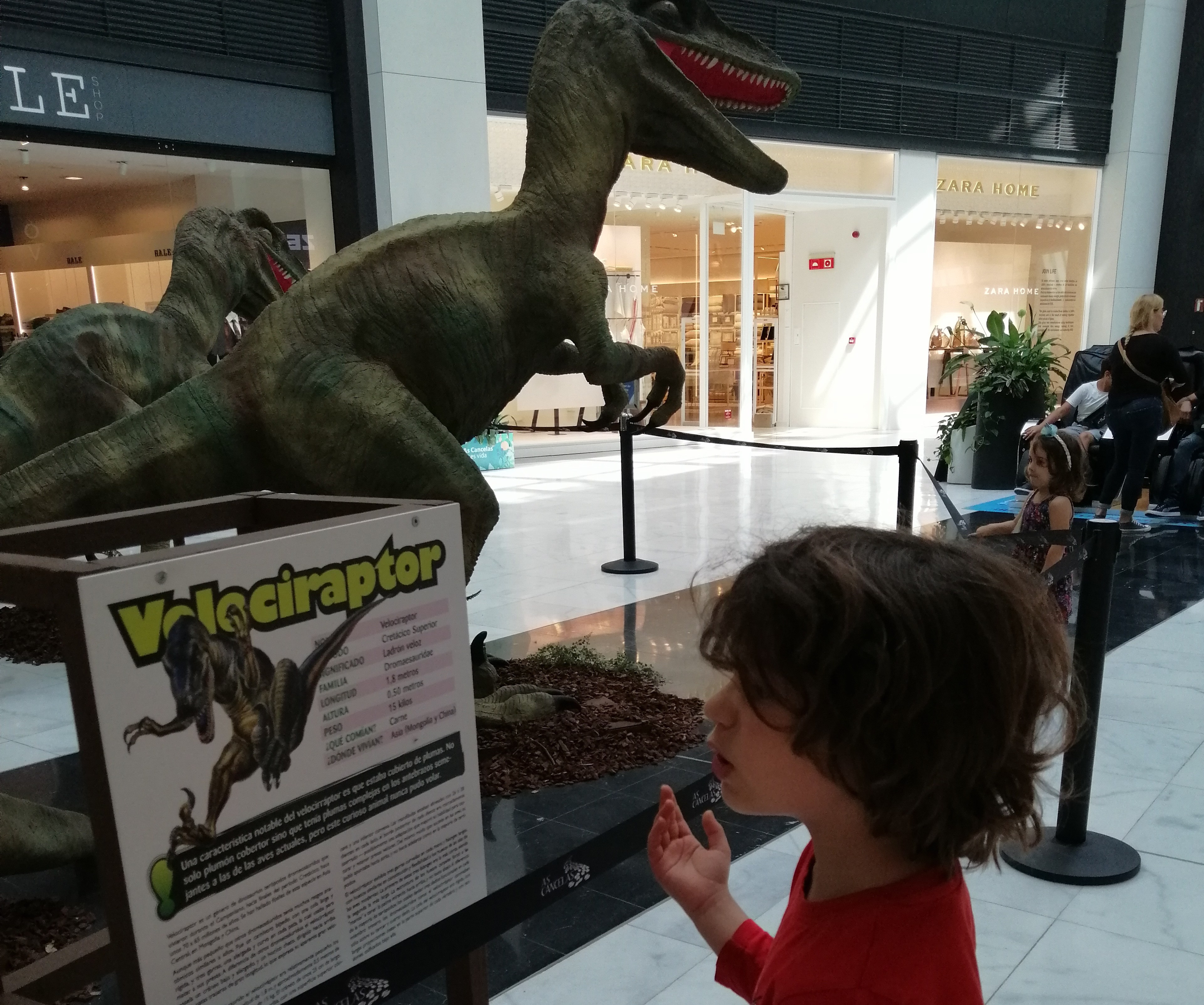 Exposición sobre dinosaurios